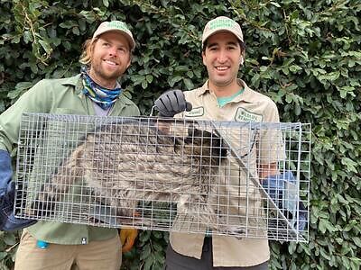 Corpus Christi pest control